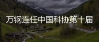 万钢连任中国科协第十届主席 陈薇
�、黄璐琦等当选副主席