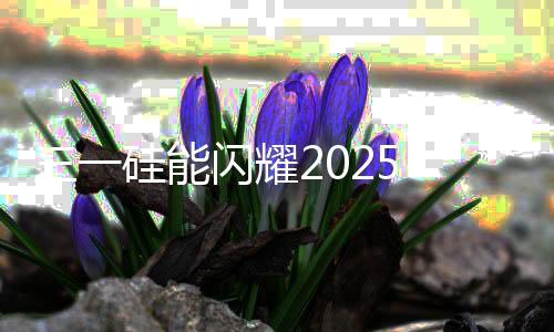 网成展会在火热进行中