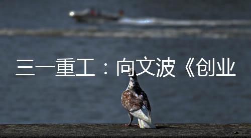 波创承诺凭条兑换纪念品