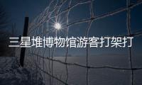 三星堆博物馆游客打架打翻文物	？官方回应：文物完好无损