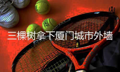 厦门深化金砖伙伴关系
