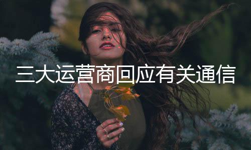对于发现的严厉处罚问题