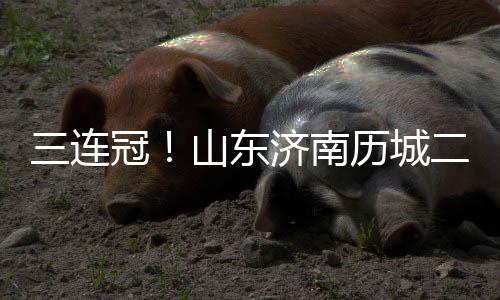 校园从2021年该支球队组建
