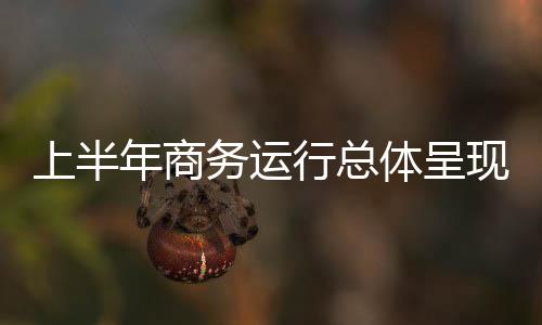 实际使用外资7036.5亿元