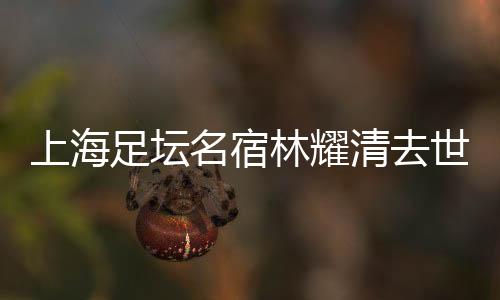 和我们少体校打训练赛