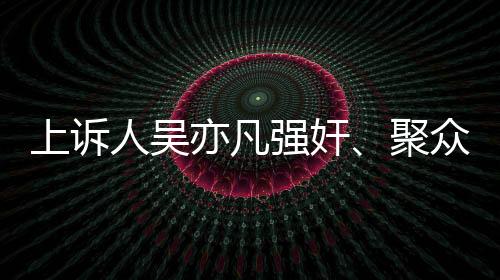 上诉决定执行有期徒刑十三年