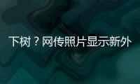 下树？网传照片显示新外援萨拉萨尔身穿亚泰训练服	，抵达训练基地