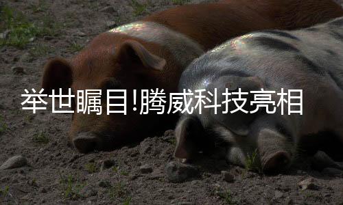 启动全新的环球发展征程