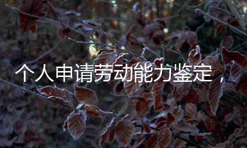 个人个人申请劳动能力鉴定