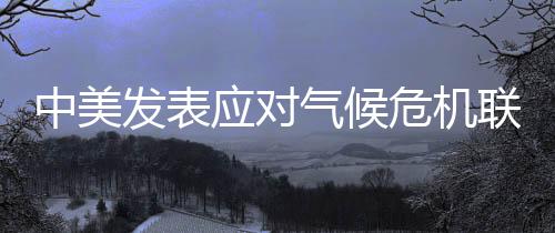将为巴黎协定第二条的目的