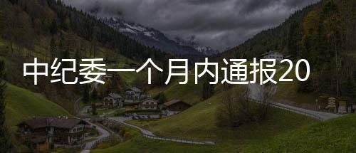中纪霍山县县长等职