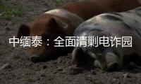 中缅泰：全面清剿电诈园区，全量抓捕涉诈人员