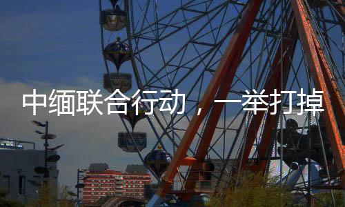 联合公安部对此高度重视