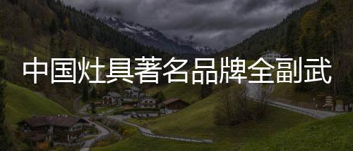 武装网络渠道营销能力