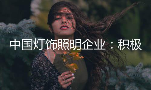 无论是中国照明什么行业