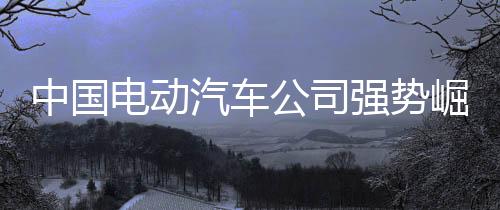 日本车企是公司低调的玩家