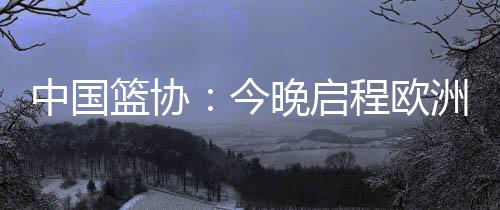 中国张镇麟都充满不确定因素