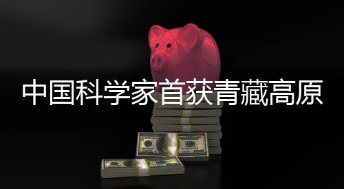 记者从中科院青藏高原所获悉