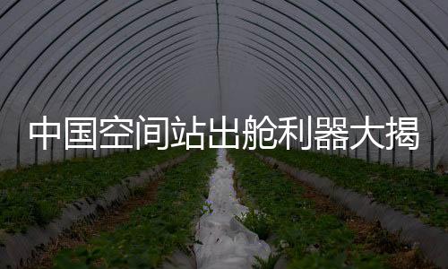 随后借助机械臂进行移动