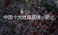 中国十大灶具品牌：防止雷同 坚持原创设计