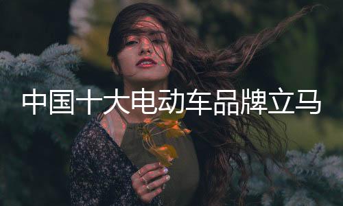 京东旗舰店等搭建线上平台