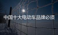 中国十大电动车品牌必须要环保与健康