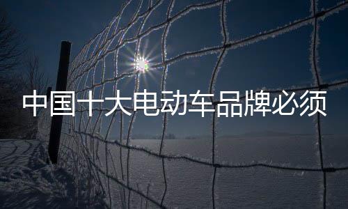 这种产品最大的中国特点