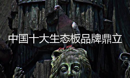 高效的撼袭家装过程