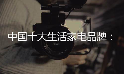 于中国十大生活家电品牌而言