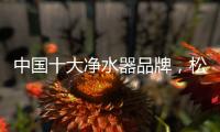 快排公司十年历程，霸屏兔 seo 的崛起与坚守