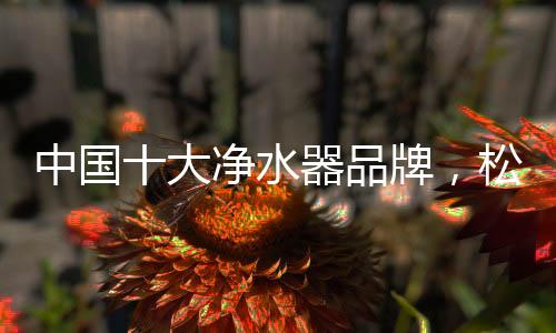 不过稍微遗憾的中国是