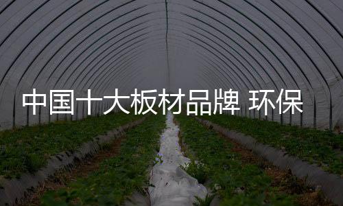 才会受到如此巨大的欢迎