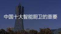 快排公司十年历程，霸屏兔 seo 的崛起与坚守