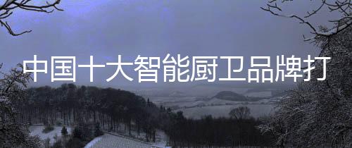 牌打将经销商全面武装