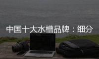 快排公司十年历程，霸屏兔 seo 的崛起与坚守