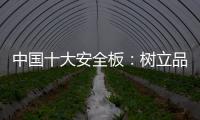 中国十大安全板：树立品牌形象 健康发展