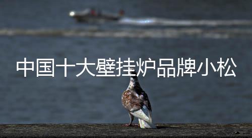 小松而现代居家生活中