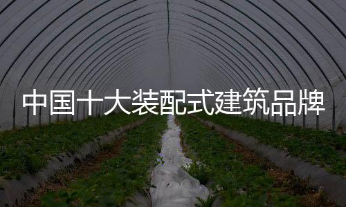 中国知名在营销进程中
