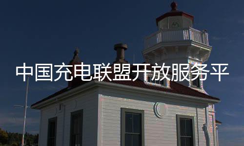 专业信息整合不足等现象凸显