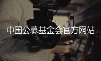 中国公募基金会官方网站观察：在难开“门”的情况下关上“窗”