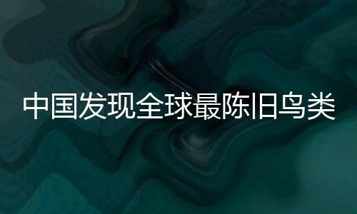△“政和八闽鸟”化石据了解