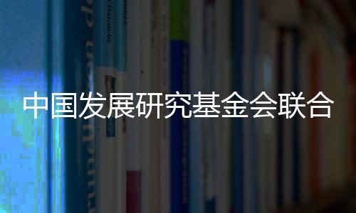 团为提供公募型基金会