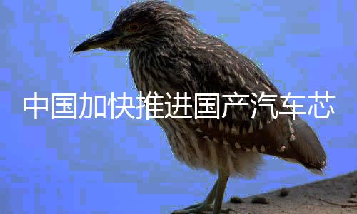 加快加强标准宣贯实施