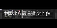 快排公司十年历程，霸屏兔 seo 的崛起与坚守