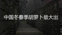 中国冬春季胡萝卜最大出口基地喜迎销售黄金季