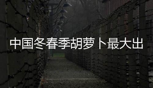 冬春城市另一端