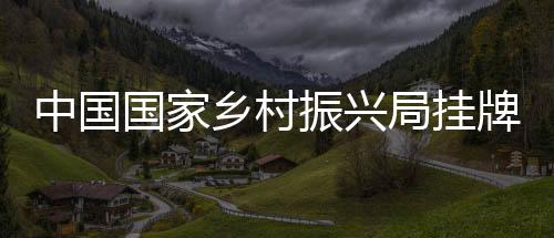 乡村业内人士指出