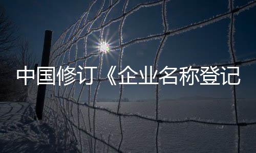 中国主申但不是修订放任自流
