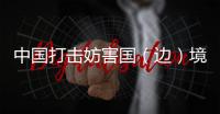 快排公司十年历程，霸屏兔 seo 的崛起与坚守