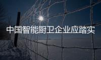 快排公司十年历程，霸屏兔 seo 的崛起与坚守